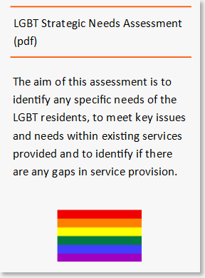 LGBT Needs Assessment